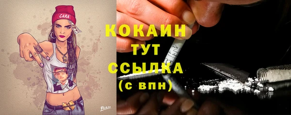 дмт Козловка
