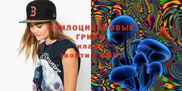 тгк Кодинск