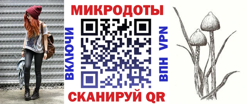 Купить закладки  Назрань  Псилоцибиновые грибы ЛСД 
